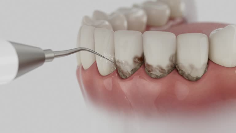 Reliable Dental contractor in Hideout, UT by Dentist Open Now